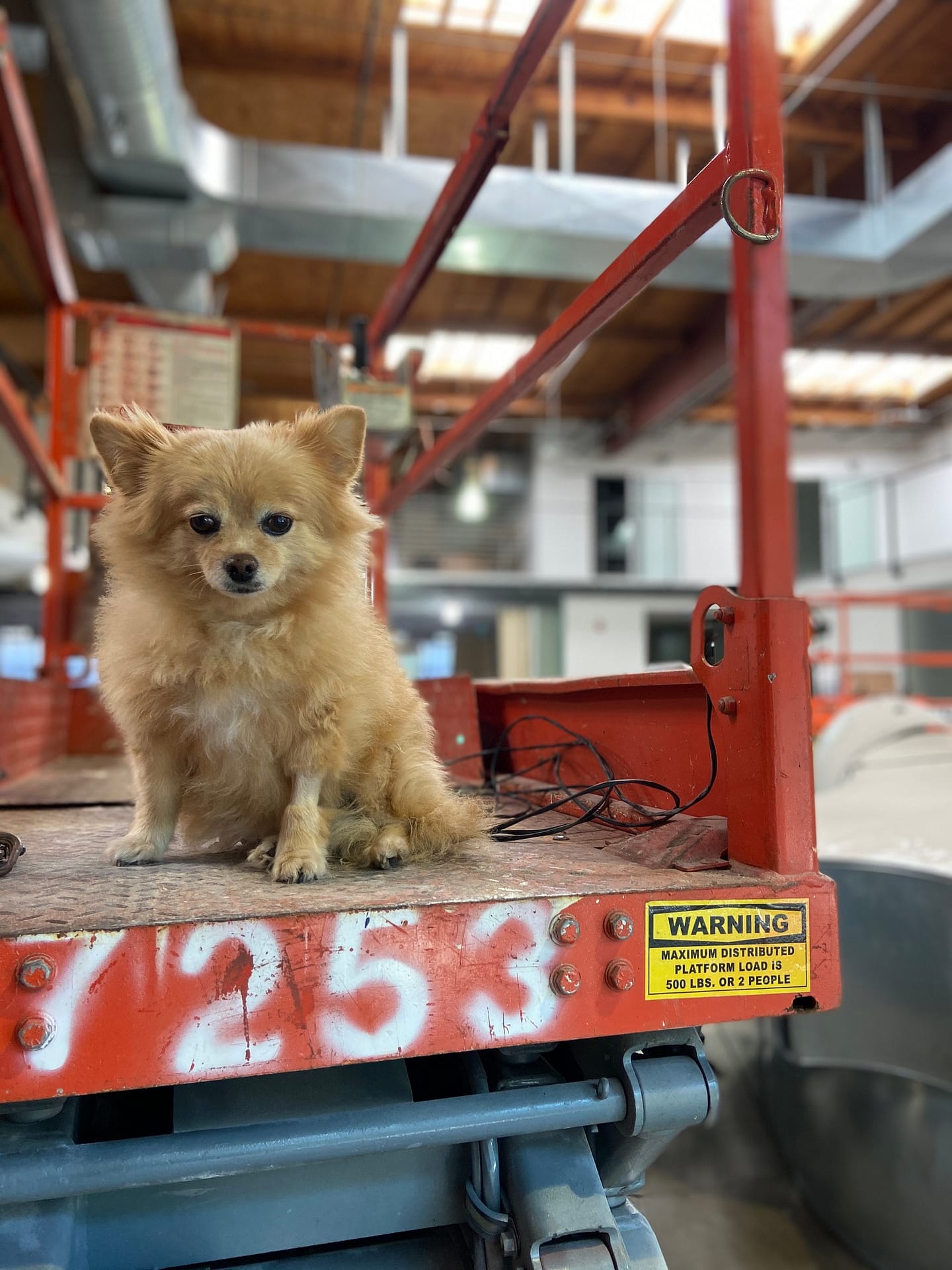 Access Animal Hospital Culver City KELTER ELECTRIC INC